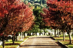 Cemetery