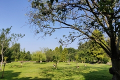 Memorial gardens