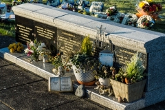 Above ground vaults