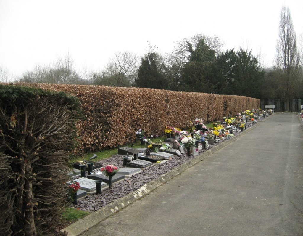Cremated remains grave plots on section beech walk